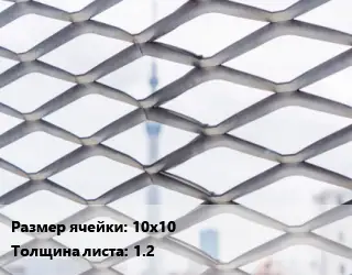 Сетка ЦПВС 10х10 s=1.2